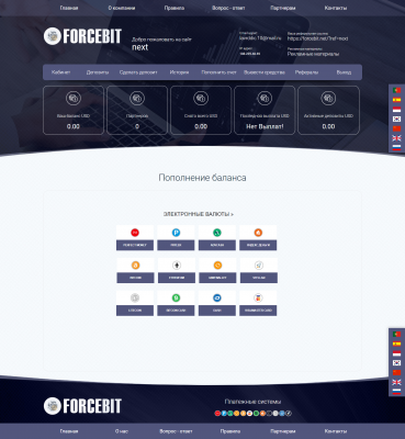 Скрипт проекта Forcebit